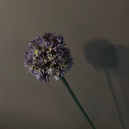 Allium kunstbloem