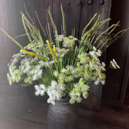 Queen Anne’s Lace