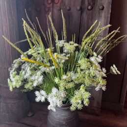 Queen Anne’s Lace