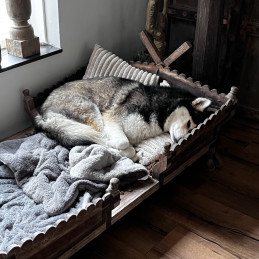 Unieke honden bed