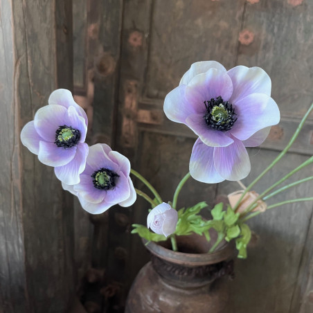 Anemone Spray