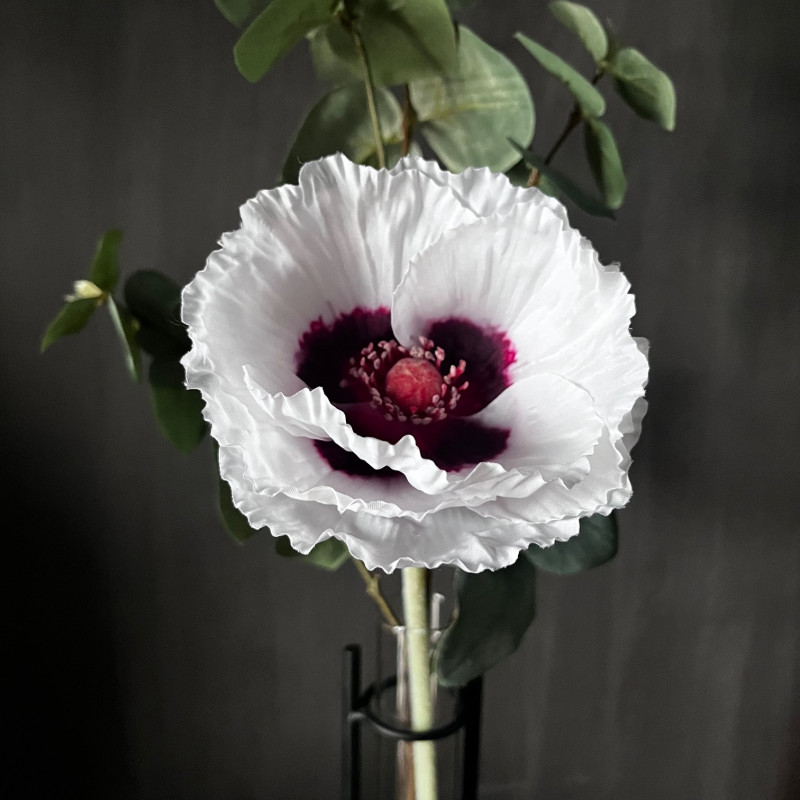 Papaver zijde bloem