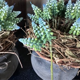 Kunst blauwe druifjes