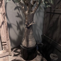 Kunst olijfboom
