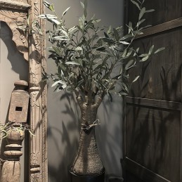 Kunst olijfboom