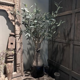 Kunst olijfboom