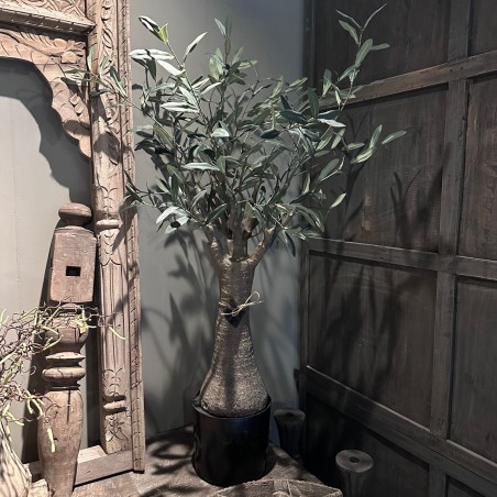 Kunst olijfboom