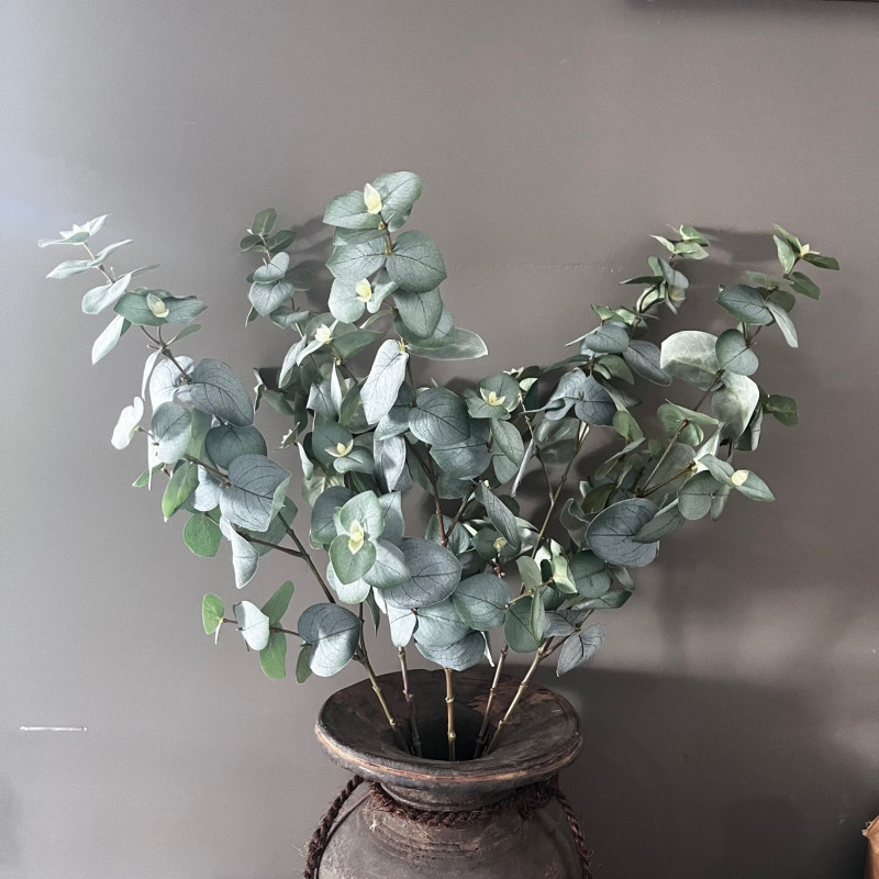 Eucalyptus kunst tak