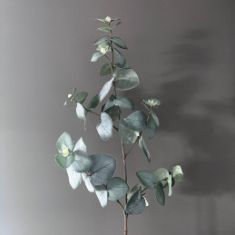 Eucalyptus kunst tak