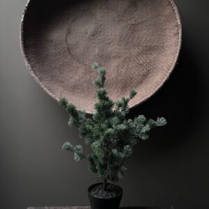 Larix kunstboom 80 cm