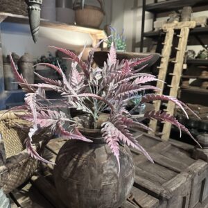 Zijde varen pink