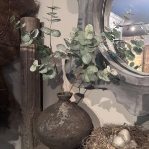 Zijde Eucalyptus tak