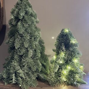 Kunst nobilis boompje