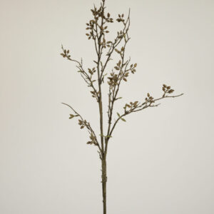 Eucalyptus tak met Bes