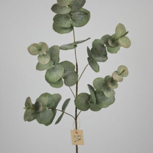 Zijde Eucalyptus tak