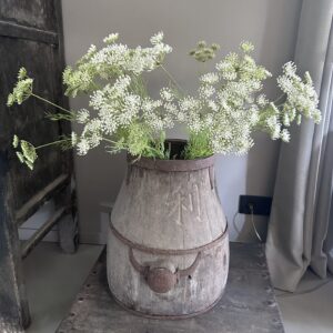 Prachtige Kunstbloem Queen Anne's Lace - Levensechte Zijden Veldbloem