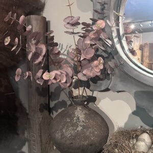 Prachtige Bruine Eucalyptus Kunsttak - 86 cm | Levensechte Woondecoratie