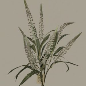 Bundel kunsttakken Salvia