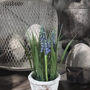 Kunst blauwe druif in stenen potje