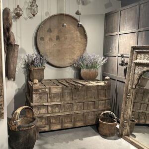 Unieke authentieke antieke bruidskist uit India