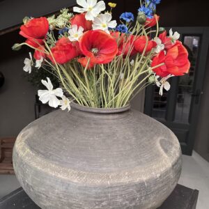 Zijde klaproos / papaver