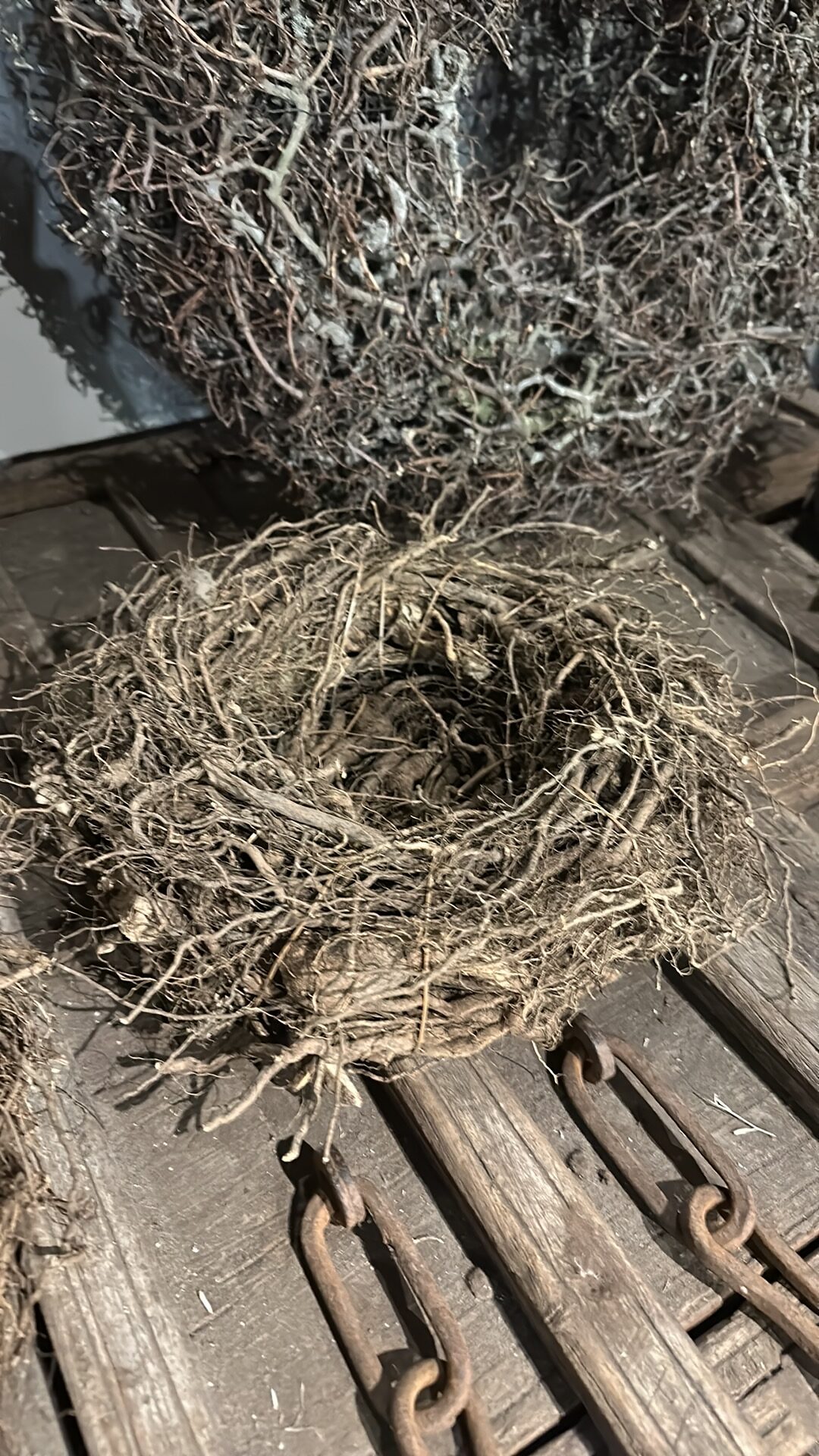 Sober & Stoer Takkenest – Handgemaakt & Natuurlijk - Afbeelding 2