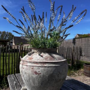 Bosje kunstlavendel paars wit