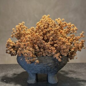 kunst gipskruid herfstkleur